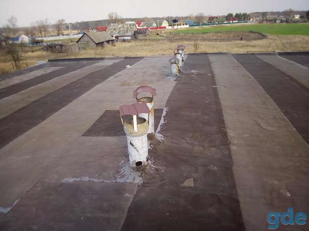 продам дом в деревне недалеко от реки, Мозырский р-он, д. Балажевичи, фотография 6