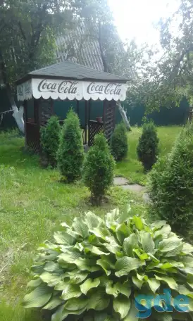 сдаю дачу, д. терюха ,,,,лесная 2а, фотография 1