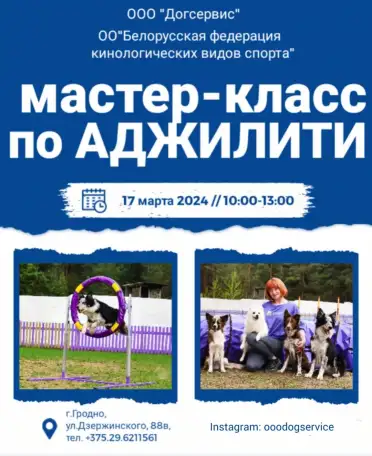 Мастер - класс по аджилити., фотография 1