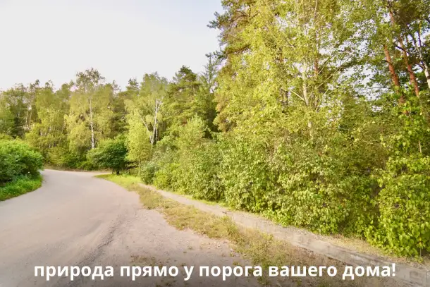 Дом в уникальном месте возле Минска, д. Зацень, 22.3 сотки земли, Лес, фотография 16