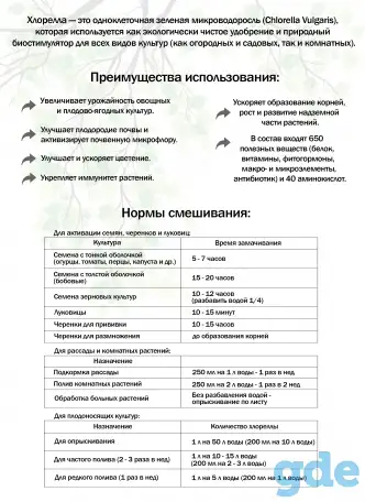 Суспензия хлореллы, фотография 2