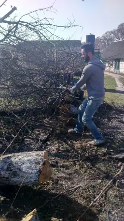Услуги по вырезке деревьев, фотография 3