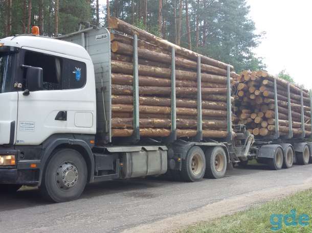 Услуги лесовозов Scania , без выходных, фотография 1