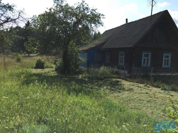 Продам дом!! СРОЧНО!, д.Норица Поставский р-н, фотография 2