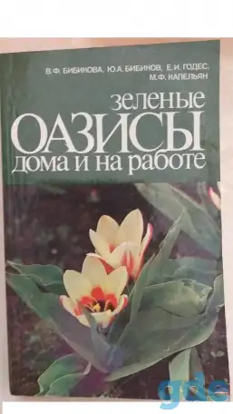Зеленые оазисы дома и на работе-для цветоводов-любителей!, фотография 1