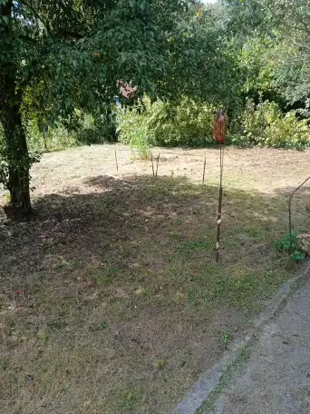 Продам дачу, С Т Химик азот, фотография 7