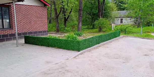 Зеленая изгородь, высотой 0,5 м длина 10 м, фотография 6