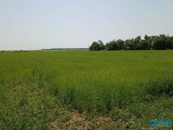 Продам участок с залитым фундаментом, Минская обл., район, д. Ужанка, ул. Климука, д. 11, фотография 3