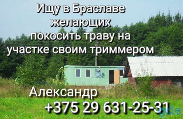 Покос травы, фотография 1