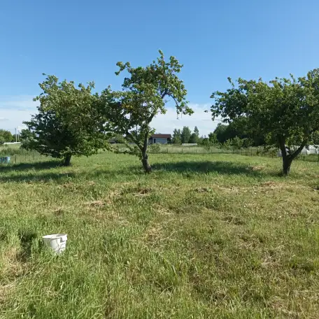 Продам дом, район, д.Большое Жежлино, ул. Центральная д.3, фотография 5