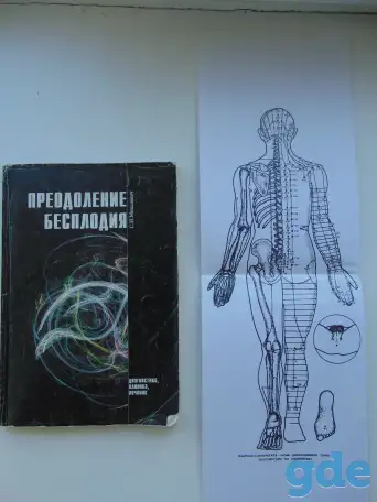 Книга С.И.Михалевич Преодоление бесплодия, фотография 4