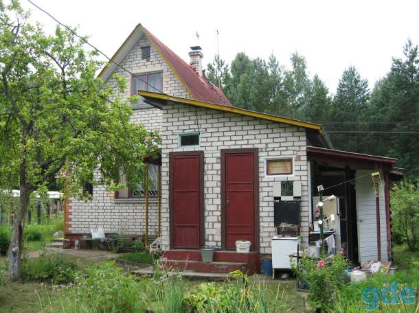 Продажа дачи, обл., Столбцовский р-н, около д. Засулье, фотография 3