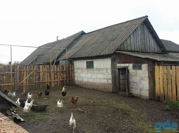 Продам дом в аг. Павловичи, фотография 5