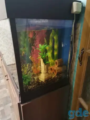 Продам СРОЧНО аквариум, фотография 4