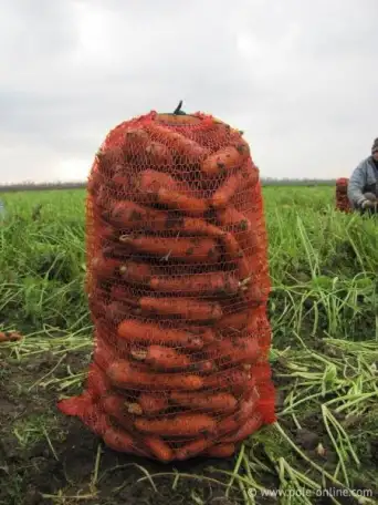 Продаётся морковь., фотография 1
