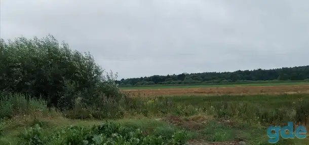 Продам участок, Пуховичский ройон, аг  Горелец, фотография 4