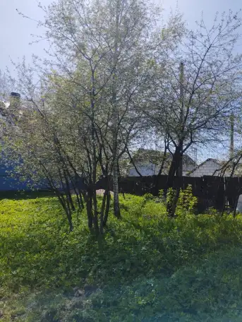 Продаю домучасток, Город Шклов, ул. Родниковая, фотография 2