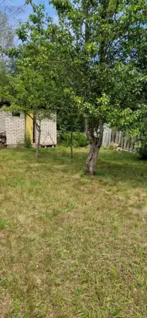 Продам дачу, Самомвывоз, фотография 3