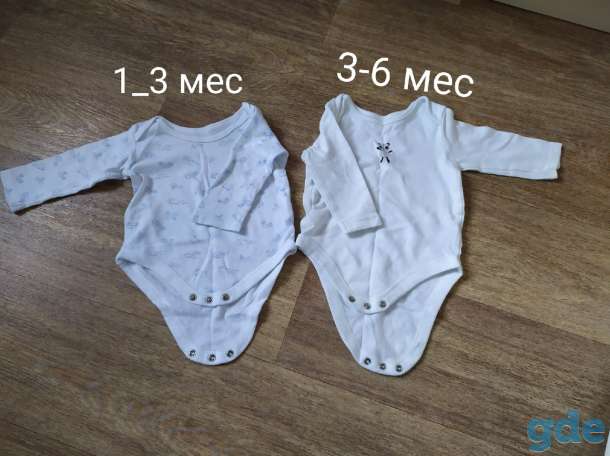 Продам бодики, фотография 4