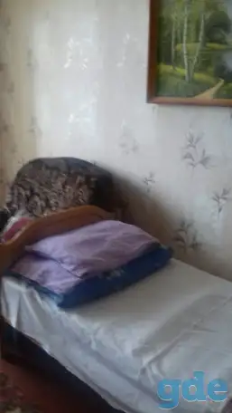 Сдается квартира посуточно в Климовичах, ул. Ленина, фотография 2