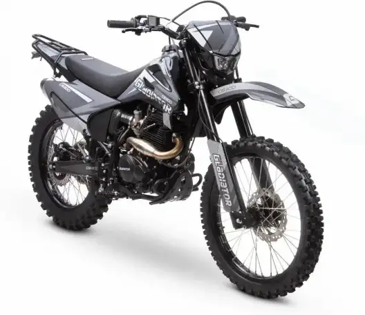 Мотоцикл GLADIATOR C3 CB300, фотография 14