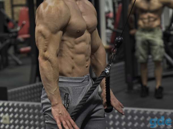 Персональные тренировки в фитнес клубе Mfit, фотография 1