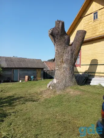 Дом, Гродненская область Волковысский район. Деревня Жорновка., фотография 7