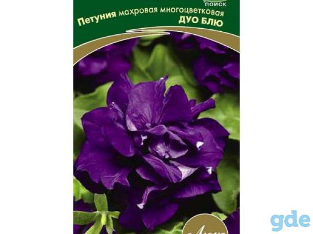 Петунья сеянцы и черенки, фотография 9