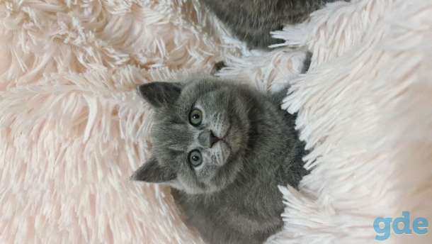 Продажа, фотография 2