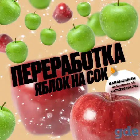 Переработаю ваши яблоки на сок, фотография 1