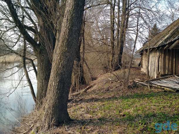 Дом у реки, д.Русаки Поставского района, курапольский с/с, фотография 2