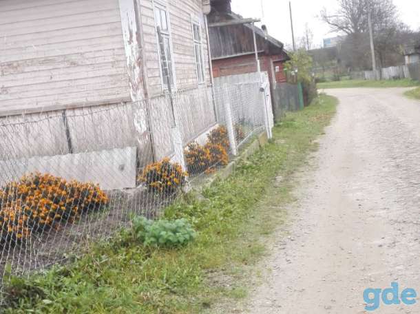 Продам дом с баней в Острино, Гродненская область, Щучинский район, г/п ОСТРИНО, фотография 2