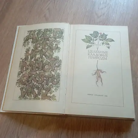 Книга Целебные кладовые природы (Минск, 1979 год), фотография 5