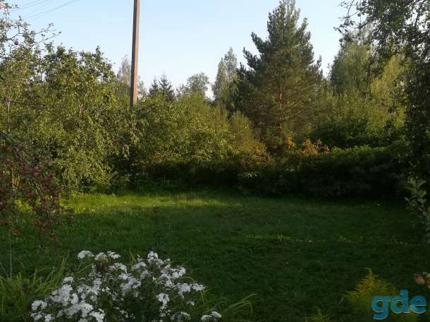 Интересный домик ищет хорошего хозяина!, фотография 6