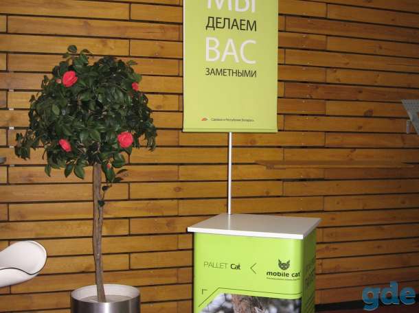 Промостойки с топпером и без (Внутренние полки), фотография 9