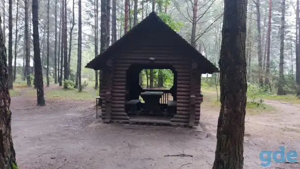 Пиломатериалы, фотография 1