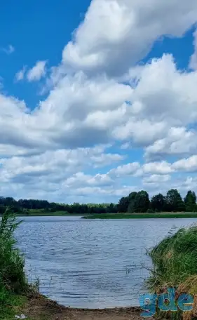 Сдам дом на берегу озера, Ушачского района, фотография 2