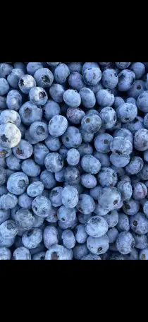 Продам участок с домом д.Рыловичи, фотография 9