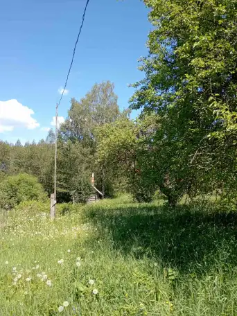 Продам дачу, д.Любжино д.7, фотография 11
