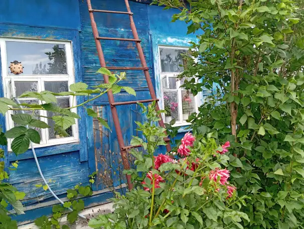 Продам дом, Ул. Мясникова 25, фотография 6