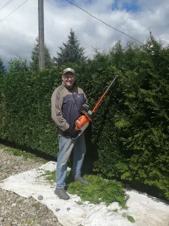 Услуги садовника, обрезка сада и другие, фотография 2