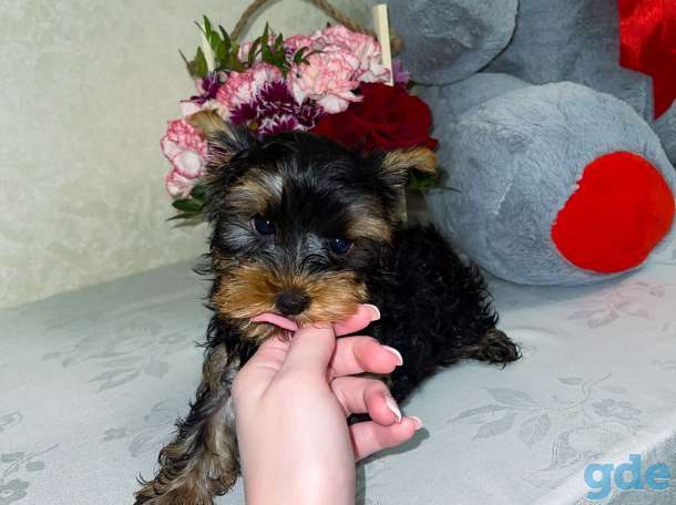 Продаю, фотография 7