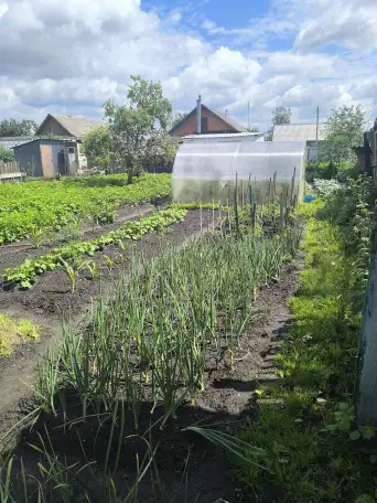 Продам дом, Гомельская область. Ул Интэрнациональная 29, фотография 20