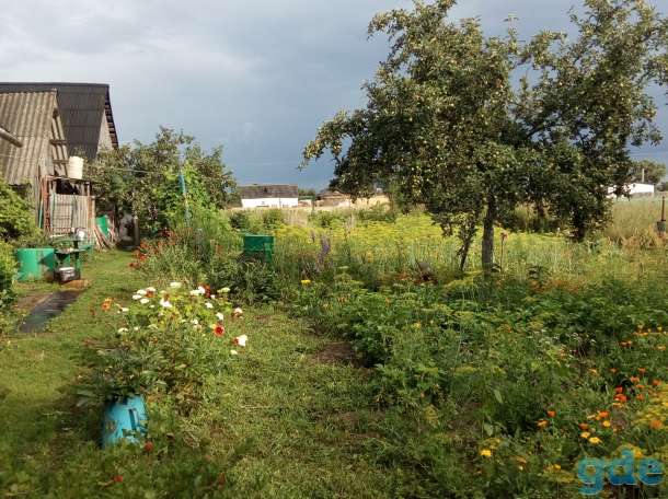 Продам дом в г.Бобруйск, фотография 3