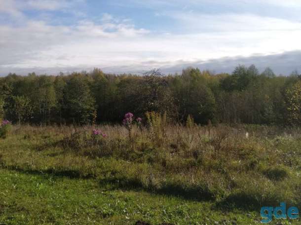 Продается дом возле озера в деревне «Подъязно» Витебской области., фотография 6