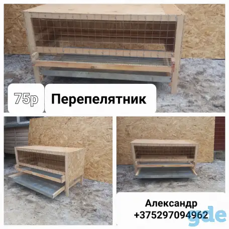 Перепелятник,, фотография 2