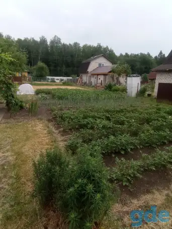 дача, с/т Изобилие, фотография 4