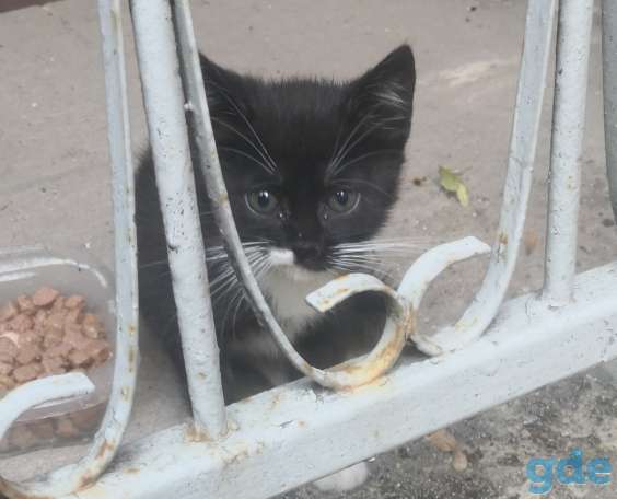 Малыш, фотография 1