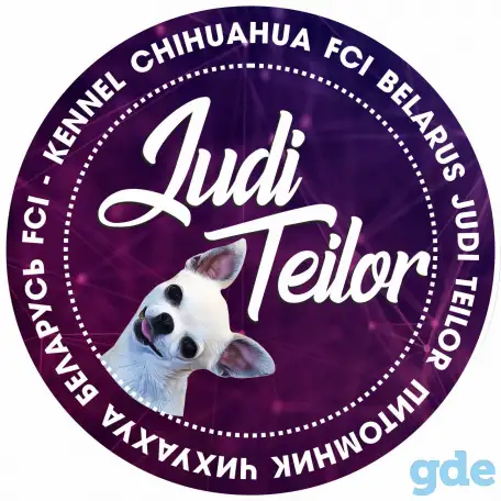 Питомник чихуахуа JudiTeilor, фотография 1