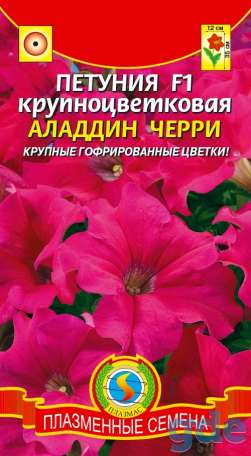 Петунья сеянцы и черенки, фотография 6